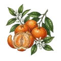 Tangerine